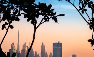 DoubleTree by Hilton Dubai M Square Hotel & Residences - Dubái - 7
