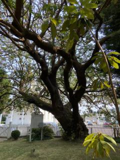 Shaw House Inn - Ferndale - 7