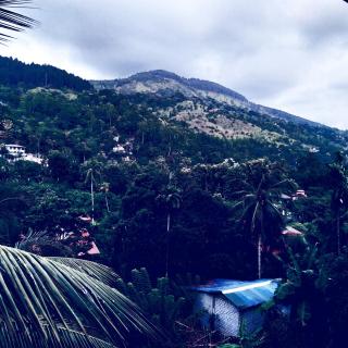 Jayathmaguest - Peradeniya - 3