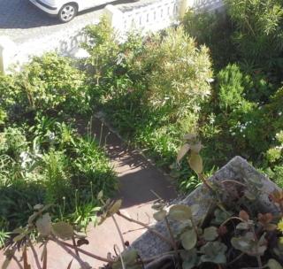 Casa do Jardim (Garden House) - Vila do Conde - 9