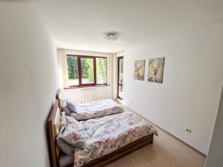 Sunny Apartment C25 - Borovets - 3