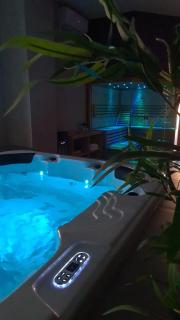 Luxury wellness apartment SHA - Osijek - 8