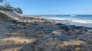 Moffat Beach Motel Caloundra - Caloundra - 4