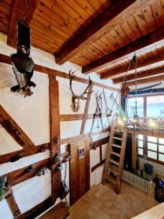 Wood & Stone Lodge 2 - Donaueschingen - 8