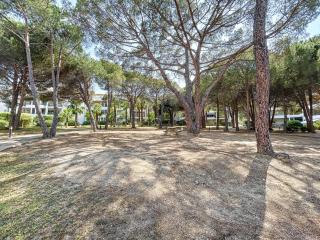 T2 dans résidence avec piscine - Calvi - 2