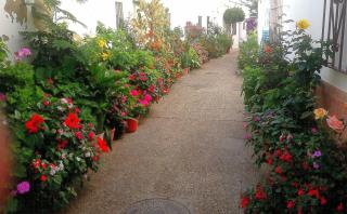 CORAZÓN DE CONIL - Conil de la Frontera - 8