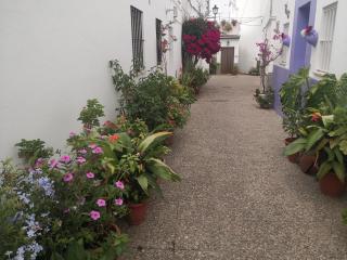 CORAZÓN DE CONIL - Conil de la Frontera - 9