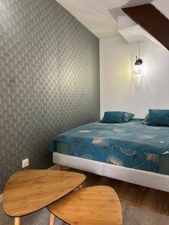 Magnifique Studio - Hypercentre ancien pieton Orléans - Wifi - Accès autonome - 9