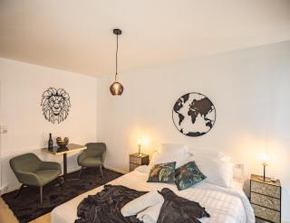 Voltaire Lion Suite - 5 min Hypercentre - Parking Privé - Troyes - 5