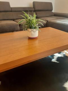 Ime Ruze apartmani Banja Vrujci - Gornja Toplica - 6