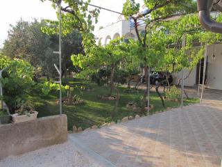 Studio apartment in Sucuraj with sea view, balcony, air conditioning, WiFi 3560-4 - Sućuraj (San Giorgio) - 4