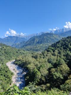 Dhauladhar View Village Resort - Dharamshala - 4