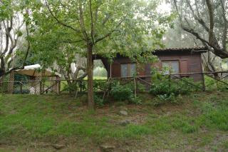 CHALET con spiaggia privata - Bracciano - 3