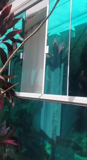 Suite na varanda para casais - 6