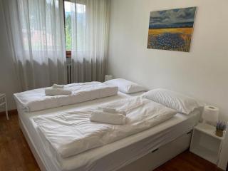 La Casa di Cris - Falcade - 7