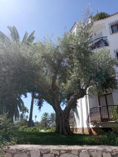 Estudio Alfil-Piscina - Dénia - 6