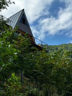 HillSide Cottage-ჰილსაიდ კოტეჯი - Keda - 9