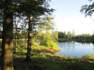 Joe Getaway - Stugby i Ullared - Ullared - 8