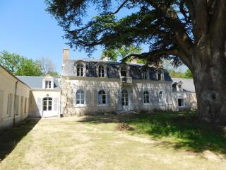 Le Petit Bois Martin, Le Controis en Sologne - Feings - 5