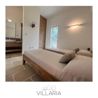 Villaria Luxury apulian villa with pool - Campomarino - 3