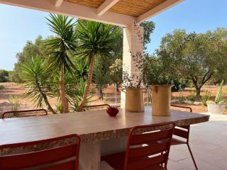 Villaria Luxury apulian villa with pool - Campomarino - 8