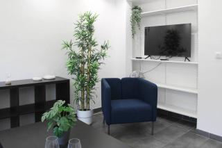 Magnifique Appartement proche Paris - Saint-Maurice - 5