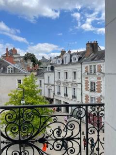 ~Rosa Bonheur~hyper centre - Blois - 1