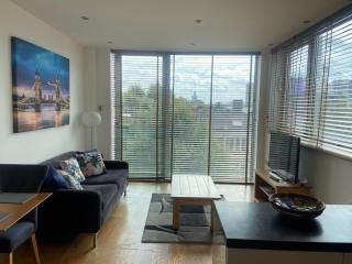 Stunning Central London Apartment - Londen - 8