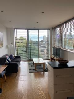 Stunning Central London Apartment - Londra - 7