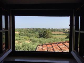 House with a swimming pool - Villa San Giorgio - 2