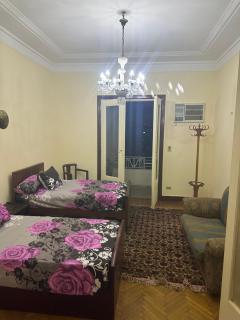 Beautiful apartment in the heart of cairo - 2