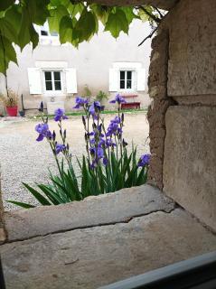 Les Iris - Chambre Erable - Avanton - 1