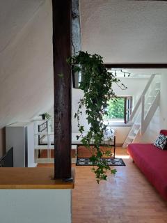 M&M Ferienwohnung - 9