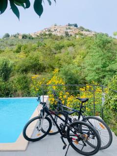 Villa Toro - Motovun - 7