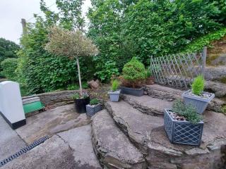 Riverside Retreat - Llandysul - 3