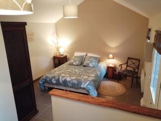 Grande maison entre Lac et forêt - 5