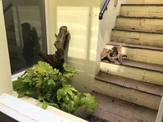 Beautiful, well positioned flat in Clifton Wood - Bristol - 5