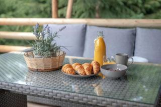 Cosy Forest Lodge - Penrhôs - 2