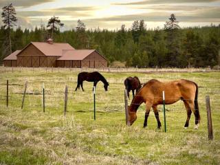 Sunriver Cascade House - Sunriver - 8