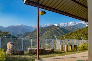 Dhauladhar View Village Resort - Dharamshala - 5