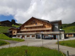 Chalet Montriond - Bike & Ski - Les Crosets - 4