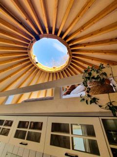 Jurty Glamping - Gostynin - 4