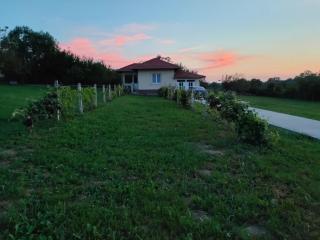 Apartman Milenkovic - Malo Laole - 0