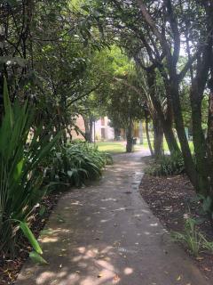 Iloa Flat Barra São Miguel-Alagoas - Barra de São Miguel - 7