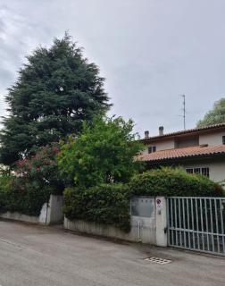 Apartament Cedro del Libano - Marano - 7