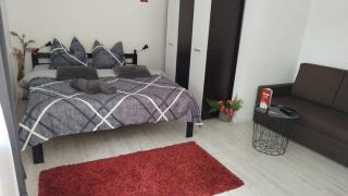 Vila ANA - Cluj-Napoca - 6
