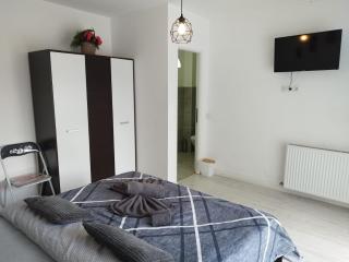 Vila ANA - Cluj-Napoca - 1