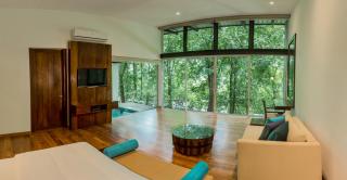 Palmstone Retreat - 9
