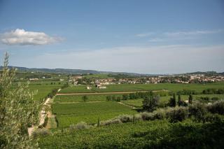 Monolocale Moderno Valpolicella Verona - Vayu - San Pietro in Cariano - 3