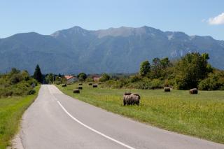 Lucija - Lovinac - 8